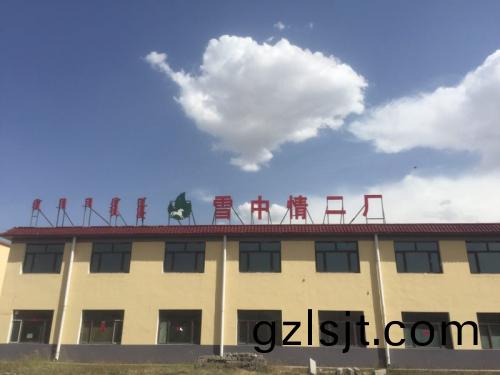 雪(xue)中情(qing)環(huan)保炭二廠
