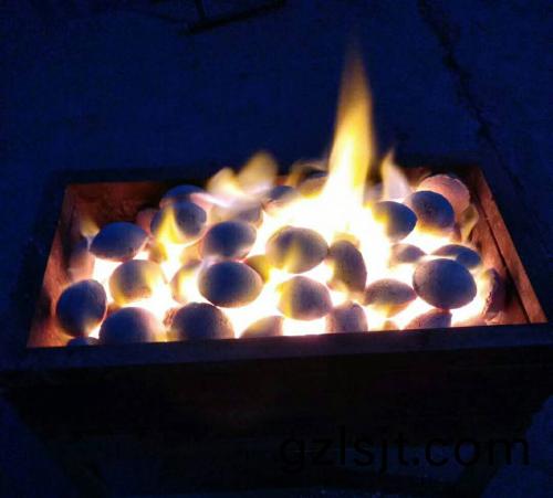 能(neng)量(liang)燒烤(kao)炭